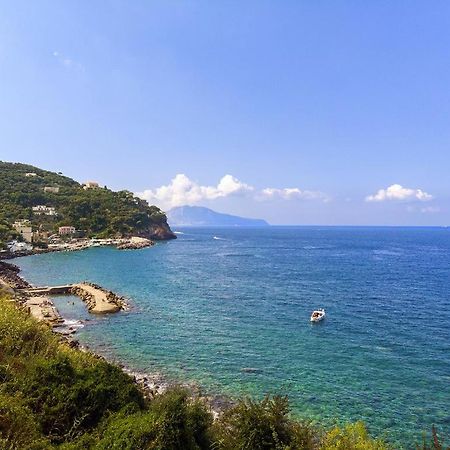 Villa Panorama Massa Lubrense Luaran gambar