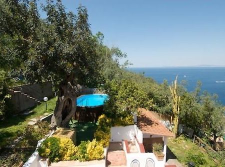Villa Panorama Massa Lubrense Luaran gambar